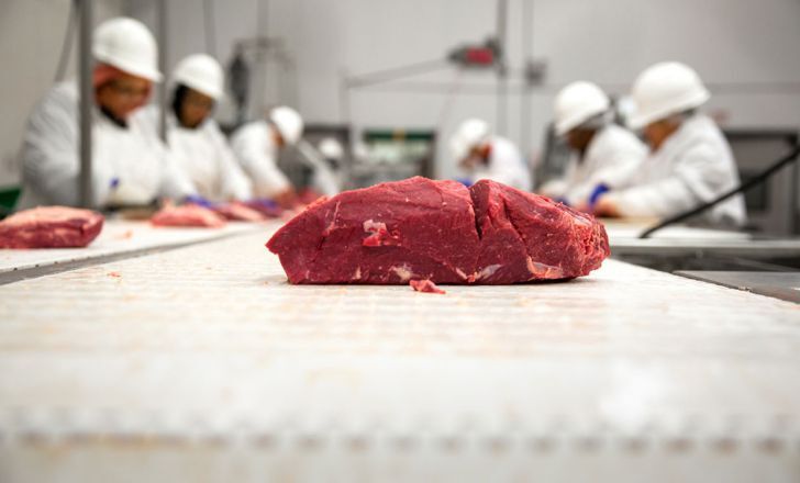 از مالیات بر باد معده گاوها تا گوشت های آزمایشگاهی| آب و آلودگی کمتر با تولید گوشت های مصنوعی