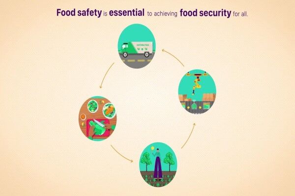 غذای ایمن و شاخص جهانی امنیت غذایی