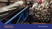جایگاه فرش داریوش در بازار صادرات فرش ایرانی ماشینی