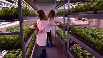 ارزش ۹.۶۶ میلیارد دلاری بازار جهانی کشاورزی عمودی| سهم ۶۸.۷ درصدی بخش هیدروپونیک از بازار