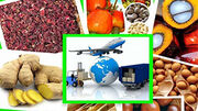 پایانه صادراتی محصولات کشاورزی در آذربایجان غربی ایجاد شود