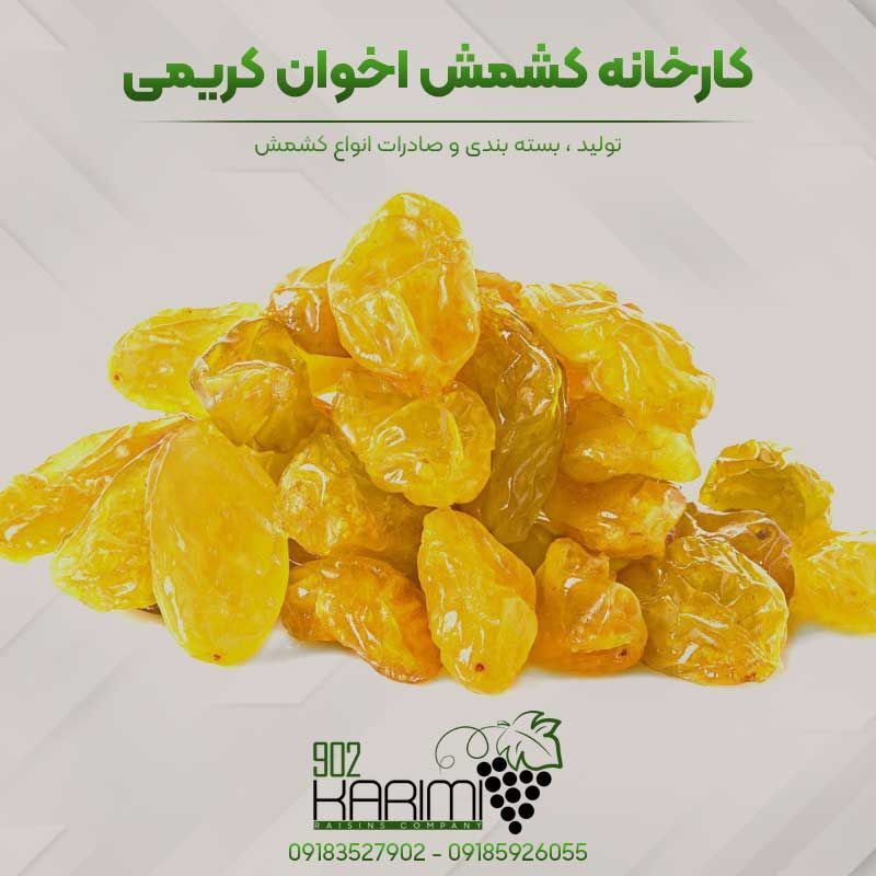 خرید کشمش ارزان ملایر از کارخانه کشمش کریمی