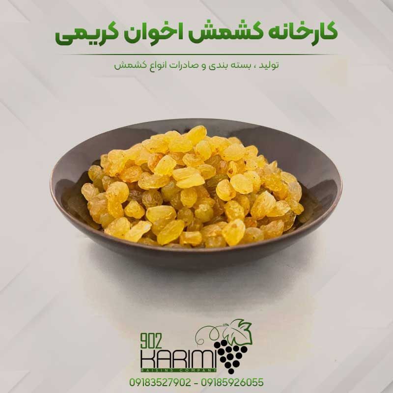 خرید کشمش ارزان ملایر از کارخانه کشمش کریمی