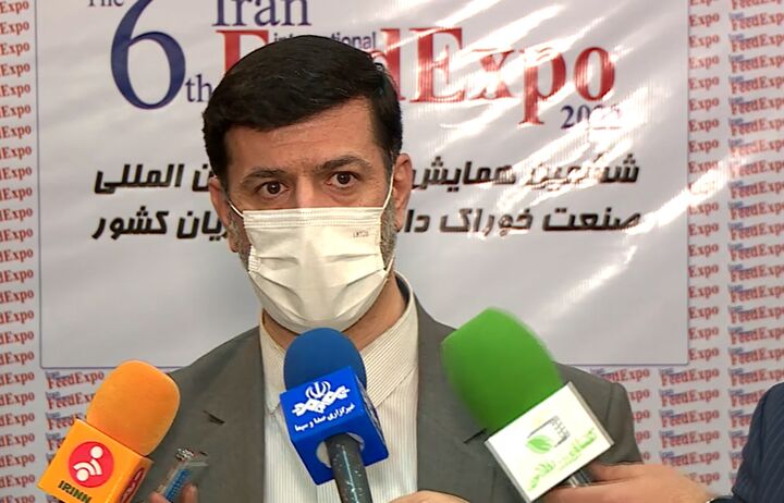 «تب برفکی» در دامداری های کشور پایش میشود «تب برفکی» در دامداری های کشور پایش میشود