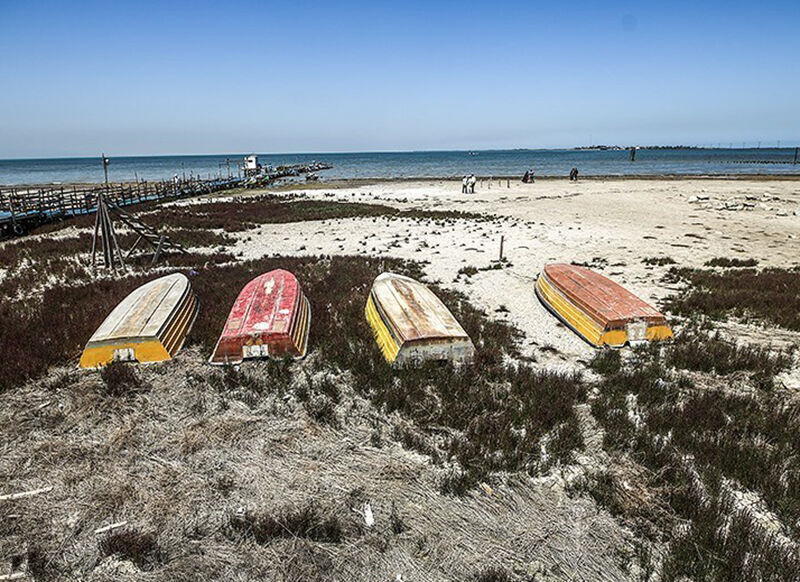 ۲۷درصد از خلیج گرگان خشک شد | مصوبات علاج درد نیست