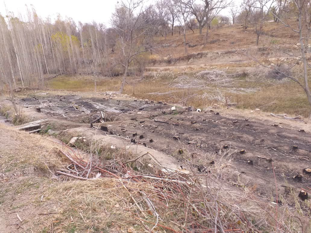 باغهای گردوی خدابنده محل جولان دلالان