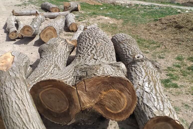 باغهای گردوی خدابنده محل جولان دلالان