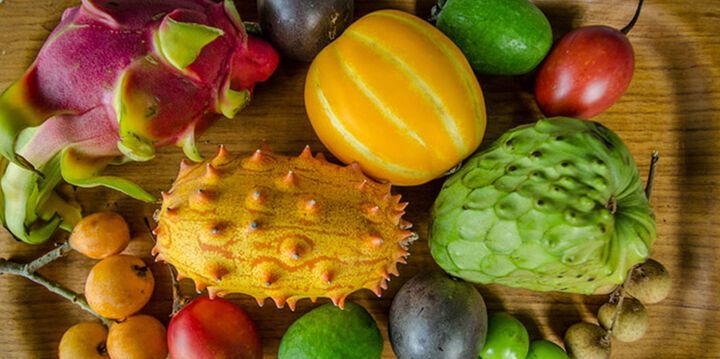 بازار میوه نیازی به کمک دولت ندارد