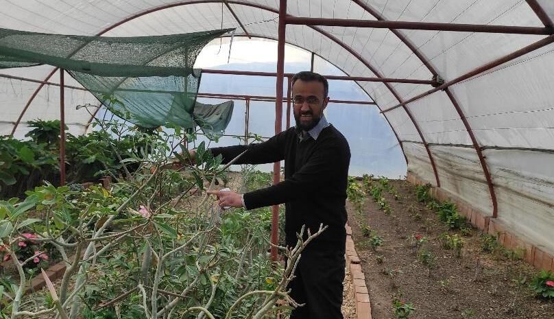 صنعت گل و گیاه فرصتی برای افزایش اشتغال| گلستان ظرفیت صادرات دارد