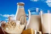 بازار داغ شیر در رقابت جهانی|محصولات گلستان استاندارد صادرات ندارد