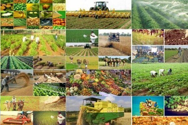 متوسط قیمت تولیدکننده محصولات و هزینه خدمات کشاورزی متوسط قیمت تولیدکننده محصولات و هزینه خدمات کشاورزی