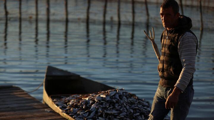 سرما و یخبندان در یونان هزاران ماهی را تلف کرد