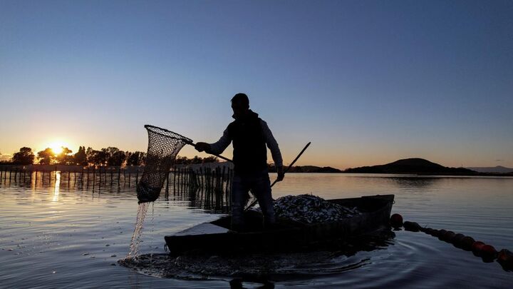 سرما و یخبندان در یونان هزاران ماهی را تلف کرد