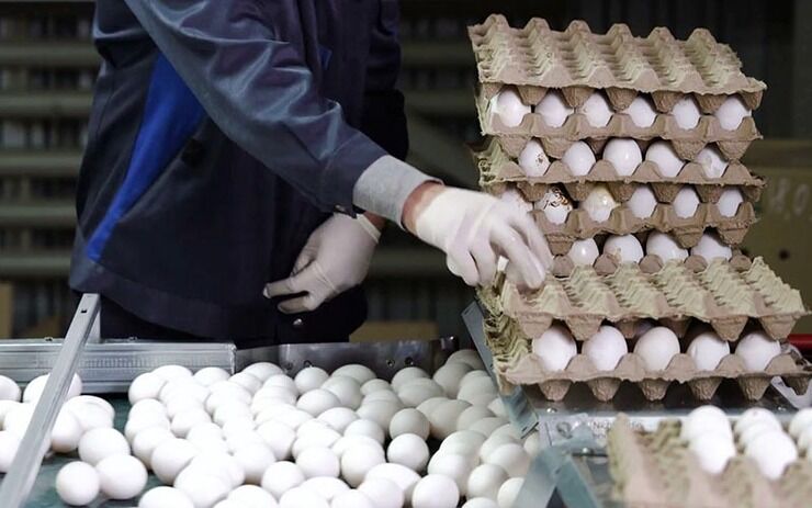 تخم مرغ برای فروش به مشتری، وزن نمی شود