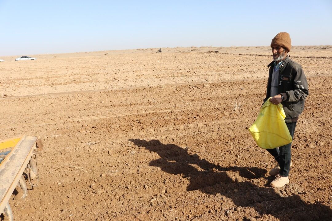 حمایت ستاد اجرایی فرمان امام(ره) از کشاورزان دیمکار/ ۲۹۰هزار هکتار زمین در همدان زیرکشت می رود