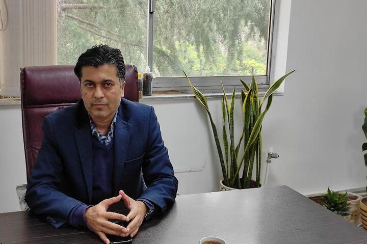 افزایش دوبرابری تولید زیتون در گلستان افزایش دوبرابری تولید زیتون در گلستان
