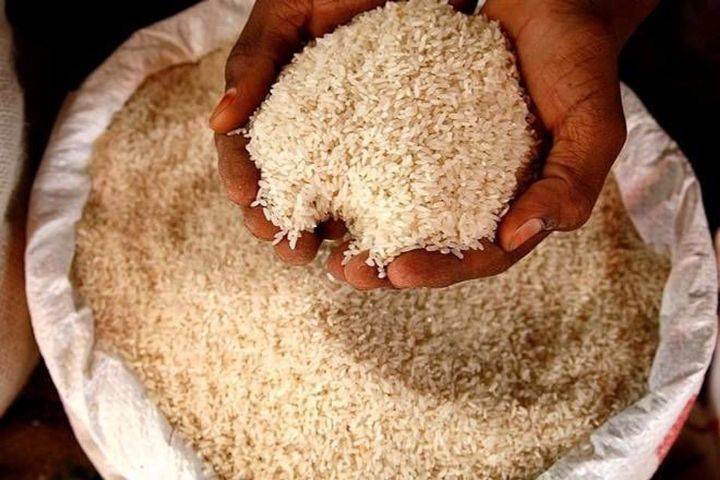 توزیع برنج ایرانی بدون دریافت هزینه ارسال