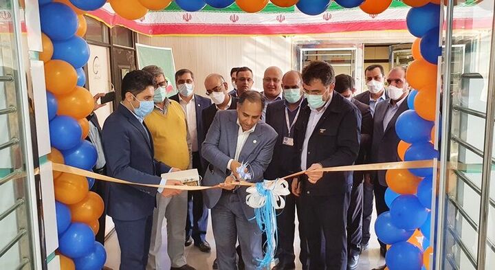 بیدبلند خلیج فارس، دستاوردی ملی در ابعاد جهانی بیدبلند خلیج فارس، دستاوردی ملی در ابعاد جهانی