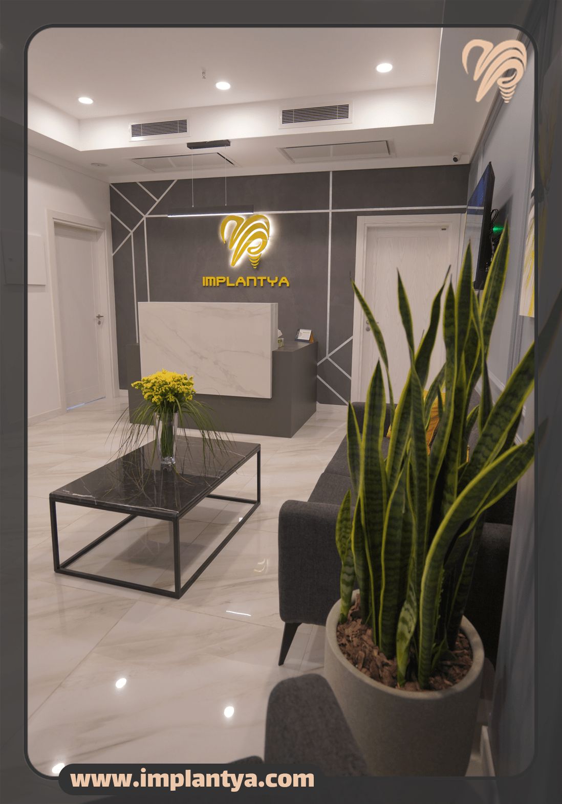 پروتزهای دندانی و ایمپلنت