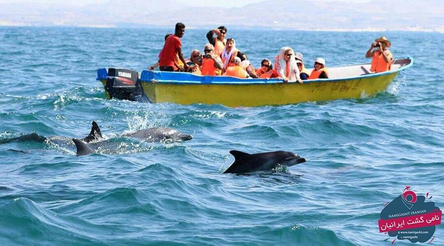 سفر به قشم و جزیره هنگام در زیباترین فصل سال ( نوروز ۱۴۰۱ )