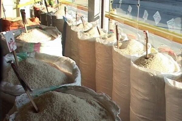جذب نشدن ۴۰۰ تن برنج سهمیه  استان صحت ندارد| توزیع ۱۷۰ تن برنج تایلندی 