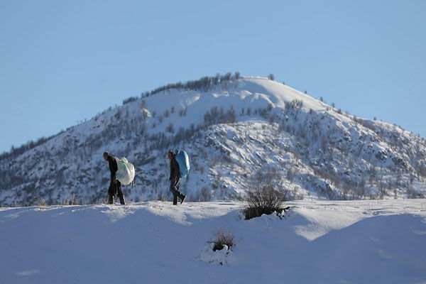 ۵۵ کولبر هزارخانی کردستان مشغول بهکار شدند ۵۵ کولبر هزارخانی کردستان مشغول بهکار شدند