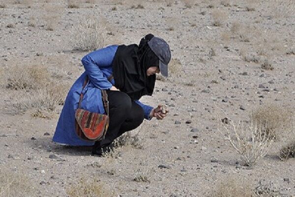 ثروت های پنهان در دل بیابان| نان سنگ ها بوی خامی می دهد