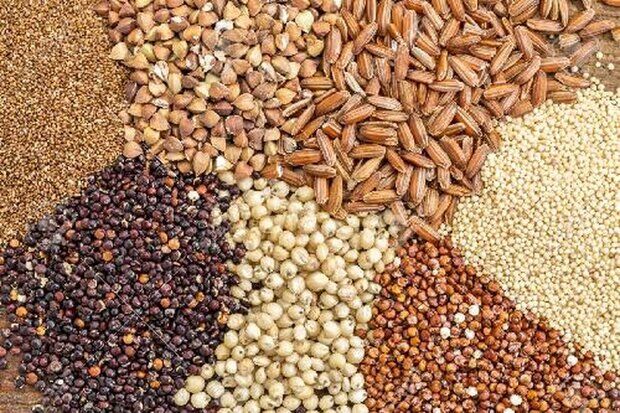 زمزمه ارتباط یکی از معاونان شما با مافیای واردات نهادههای دامی درحال انتشار است! زمزمه ارتباط یکی از معاونان شما با مافیای واردات نهادههای دامی درحال انتشار است!