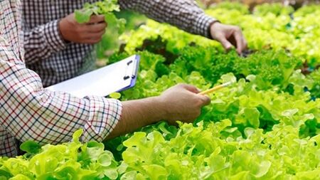 شناسایی ظرفیتهای جدید برای تامین نهادههای زیستی شناسایی ظرفیتهای جدید برای تامین نهادههای زیستی