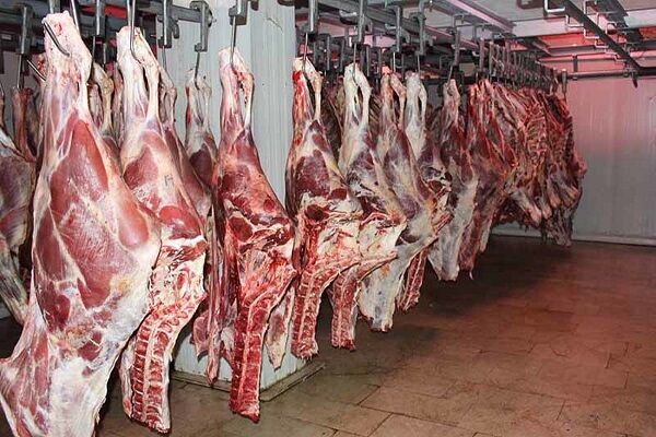 ۶۰۰ تن گوشت در استان مازندران توزیع می‌شود