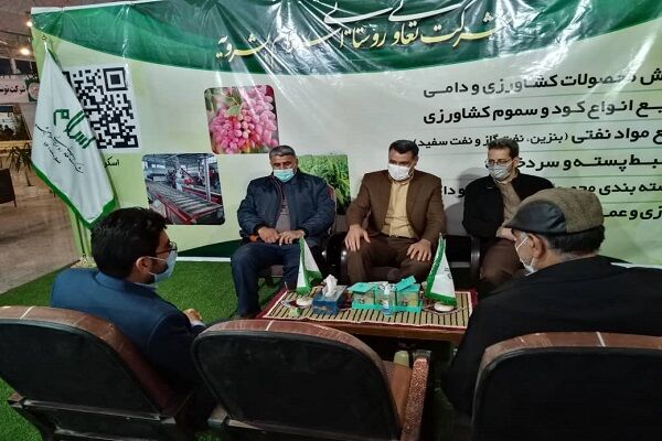 شرکت تعاونی روستایی اسلام بشرویه پیشرو در تولید محصولات کشاورزی و دامی