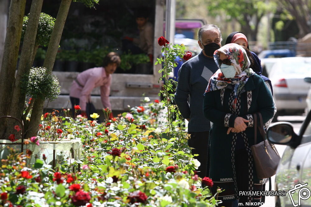 صادرات گل اصفهان رو به مدار صفر درجه |صنعتی که در حال َپرپَر شدن است