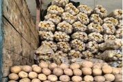 عوارض صادرات سیب‌زمینی ۷۰ درصد شد
