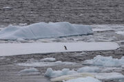 تغییرات آب و هوایی در قطب جنوب