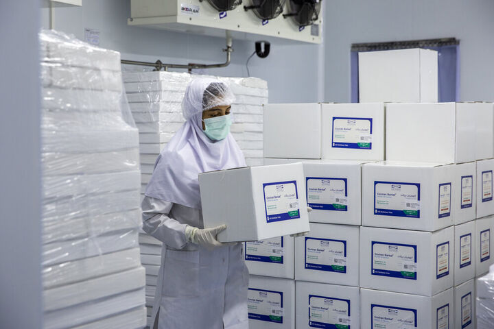 وزارت بهداشت اظهارات یک فرد درباره میزان تولید واکسن برکت را تکذیب کرد