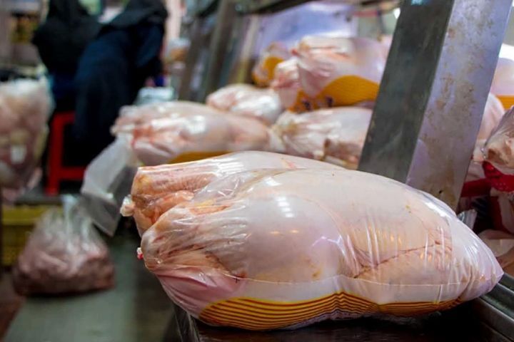 افزایش مرغ سایز در بازار