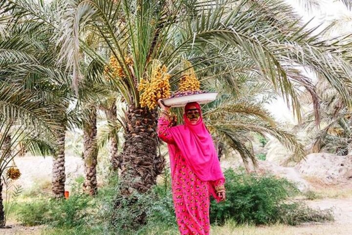 ضرورت تشکیل تعاونیها برای عرضه محصولات روستایی ضرورت تشکیل تعاونیها برای عرضه محصولات روستایی