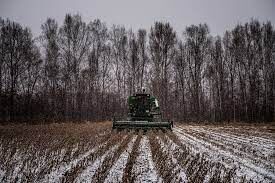 جنگ اوکراین بازار روغن را متاثر کرد| افزایش قیمت محصولات کشاورزی