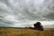تهاجم روسیه در کشاورزی جهان طوفان به راه انداخت| ۴۵ میلیون نفر در آستانه قحطی قرار دارند