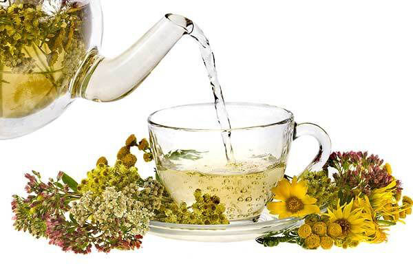 برداشت «بیدمشک» از باغات آذربایجان غربی آغاز شد| تولید سالانه ۲ میلیون لیتر عرق بیدمشک