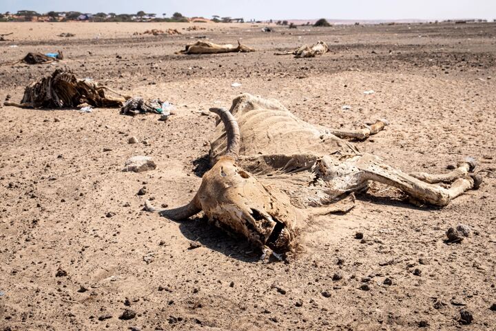 تشدید خشکسالی در سومالی