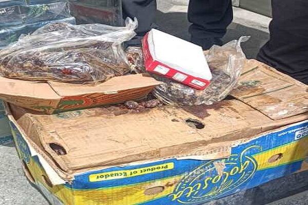 برخورد تعزیرات حکومتی همدان با خرمافروش متخلف برخورد تعزیرات حکومتی همدان با خرمافروش متخلف