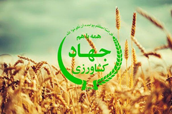 ضرورت اتصال وزارت جهاد کشاورزی به پنجره ملی خدمات دولت هوشمند