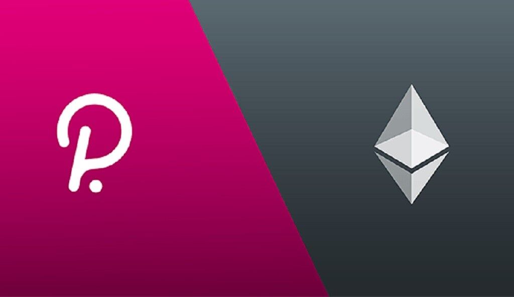 ۴ نکته مهم در مورد پولکادات که پیش از خرید باید بدانید