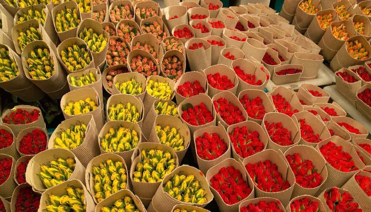 اقتصاد ۸میلیون دلاری گل‌های صادراتی بوی پژمردگی می‌دهد| افزایش ۴۰۰درصدی هزینه تولید