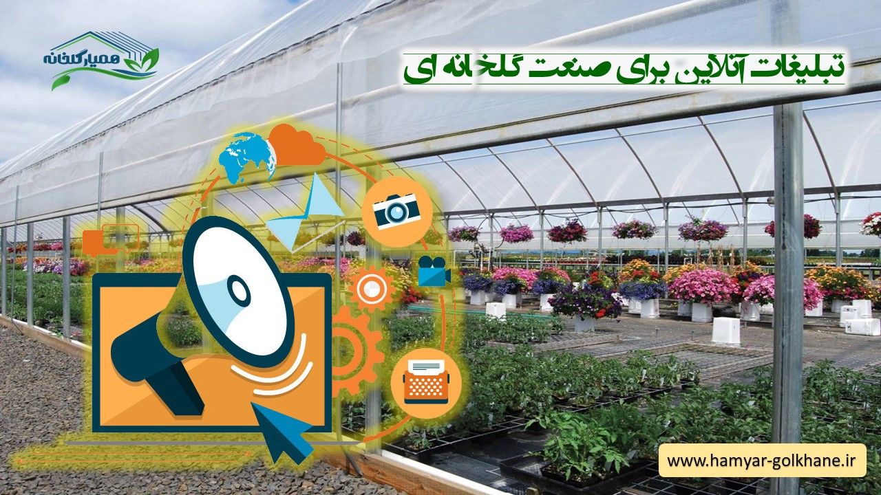 بهترین استراتژی تبلیغات آنلاین برای گلخانه ها چیست؟