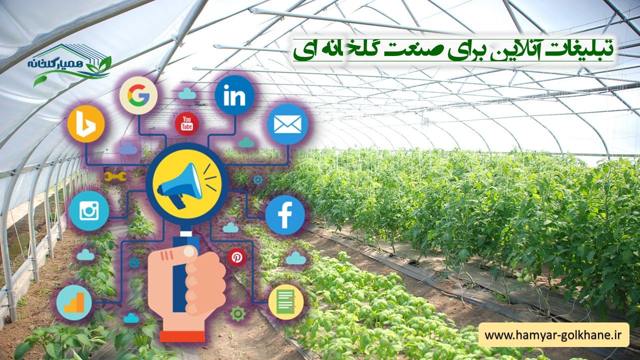 بهترین استراتژی تبلیغات آنلاین برای گلخانه ها چیست؟