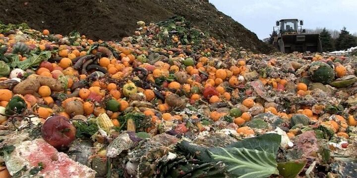هدررفت ۱۳.۲درصدی محصولات کشاورزی پس از برداشت؛ گرسنگی ۸.۲درصد جمعیت جهان در سال ۲۰۲۴