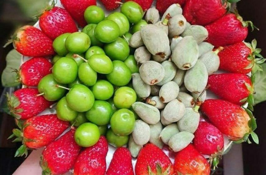 قیمت‌ میوه‌های نوبرانه در بازار نوبر است| عرض اندام میوه‌های لاکچری در برابر مردم