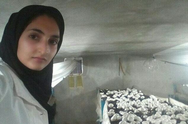 کارآفرینی با دستان خالی| افزایش قارچ گونه اقتصاد خانواده با پرورش قارچ